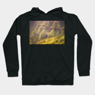 waterfalls Hoodie